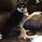 Monica Trull's photo