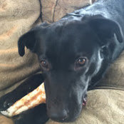Kate Nunn's photo