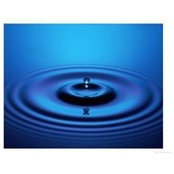 Daniel Russell's photo