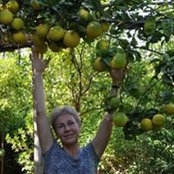 Photo de Светлана Жаворонкова