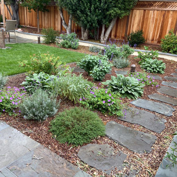 Sunnyvale Low Water & Dog Safe Garden