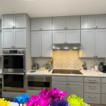 Large Light Grey Renovation