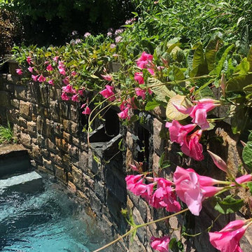 Mandavella Vines Installed Over Plunge Pool