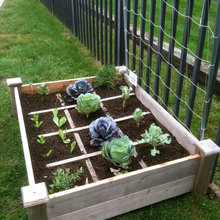 Herb Garden