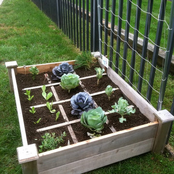 Vegetable & Herb Gardens