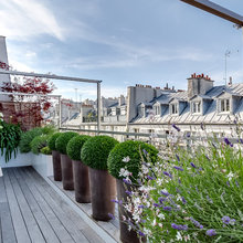 Patio Ideas