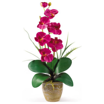 Phalaenopsis Silk Orchid Flower Arrangement, Beauty
