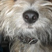 Samantha Manley's photo