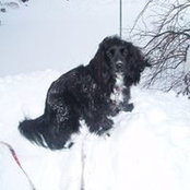Eileen Trihoulis's photo