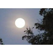 Julana Senette's photo