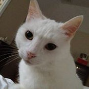 Sandra Sanders's photo