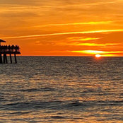Laura Matos's photo