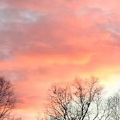 Shantelle Stobaugh's photo