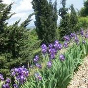 Gaylynn Smith's photo