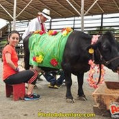 July Gonzalez's photo