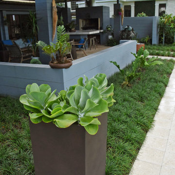 Mid-Century Modern Garden