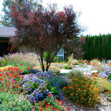 Bruce and Susan front yard