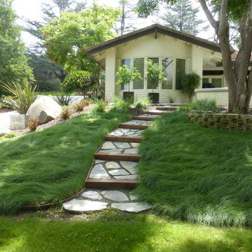 Low Water Garden Design