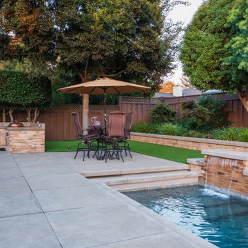 Canine Plunge Pool