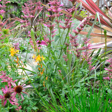 Cole Valley Garden