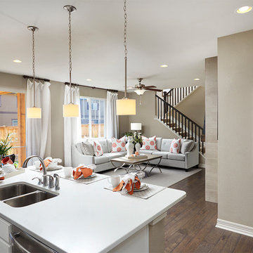 Coral model home in Colorado