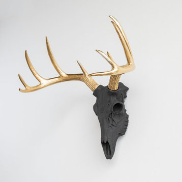 Deer Skull Wall Mount, Black and Gold