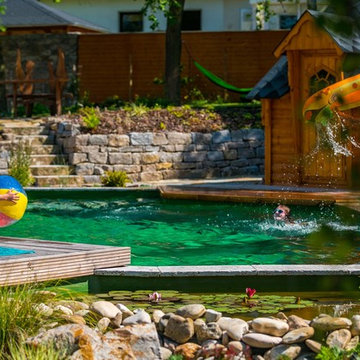 Naturpools Eichler Gartenideen