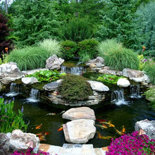 koi pond