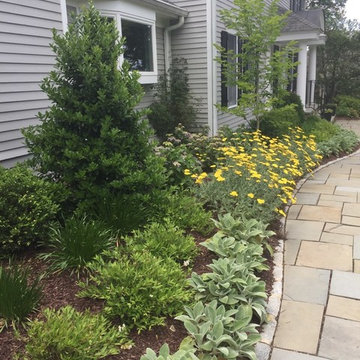 Front Yards