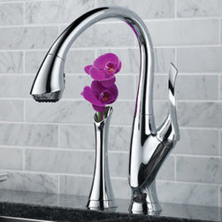 Kitchen Products - Kitchen Faucets