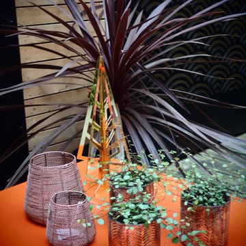 détails avec cordyline australe noire