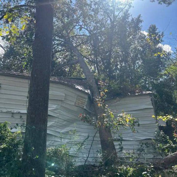 Emergency Tree Removal in Aiken, SC