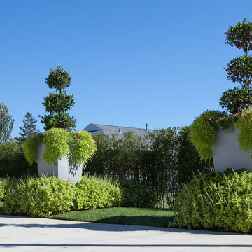 Capital Garden Planters