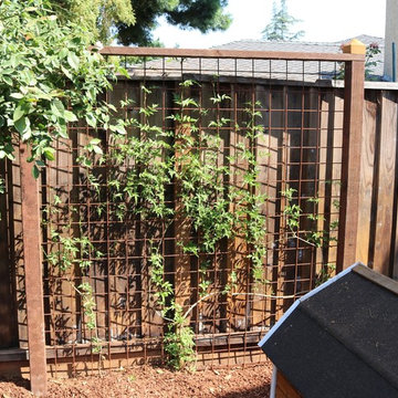 California Native Backyard Renovation
