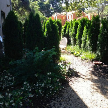 Secret garden