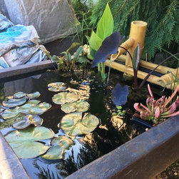 Water Gardening - Outdoor Fountain And Pond Accessories