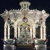 Shelley Prandi's photo