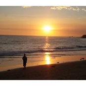 Teresa Lundquist's photo