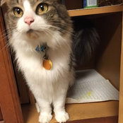 Allison Petty's photo