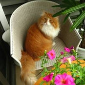 Huong Nguyen's photo