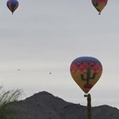 Heather Forari's photo