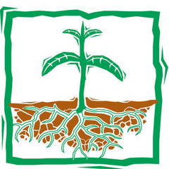EarthCare Landscaping