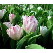 Maria Baker's photo