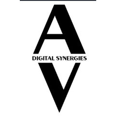 Digital Synergies Audio Visual