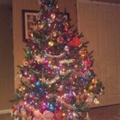 Kristen Heilman's photo