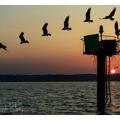 Roberta Steele's photo