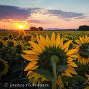 Freda Hoskins's photo