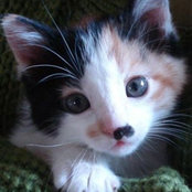 Sandra Sharp's photo