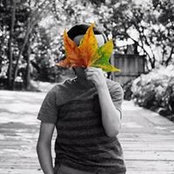 Brayden Shields's photo