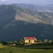 Esha Chhabra's photo
